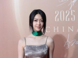 向涵之亮相2025中国时尚产业盛典红毯活动-蜗牛资源分享网